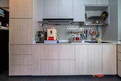 Blk 110D Punggol Field (Punggol), HDB 5 Rooms #504882321